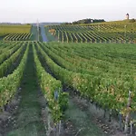 بيت ضيافة Les Foucauds Saint-Quentin-de-Caplong