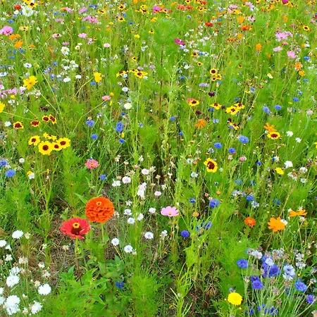 Les Foucauds 3* Saint-Quentin-de-Caplong