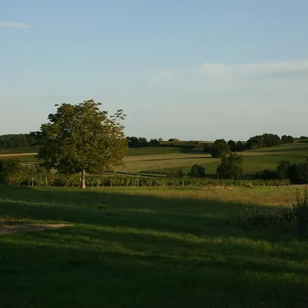 بيت ضيافة Les Foucauds Saint-Quentin-de-Caplong