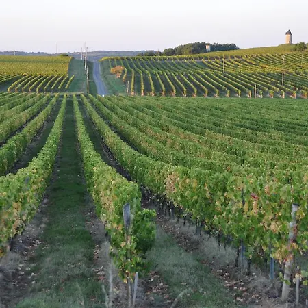 بيت ضيافة Les Foucauds Saint-Quentin-de-Caplong