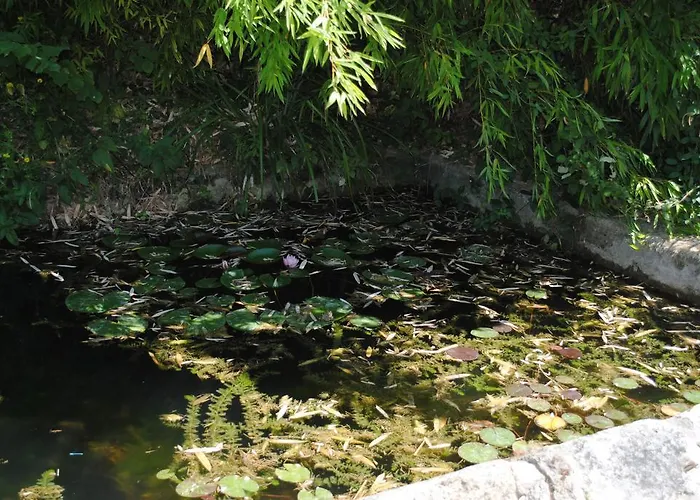 Les Foucauds Penzion 3*