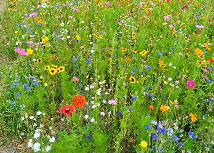 Les Foucauds 3* Saint-Quentin-de-Caplong