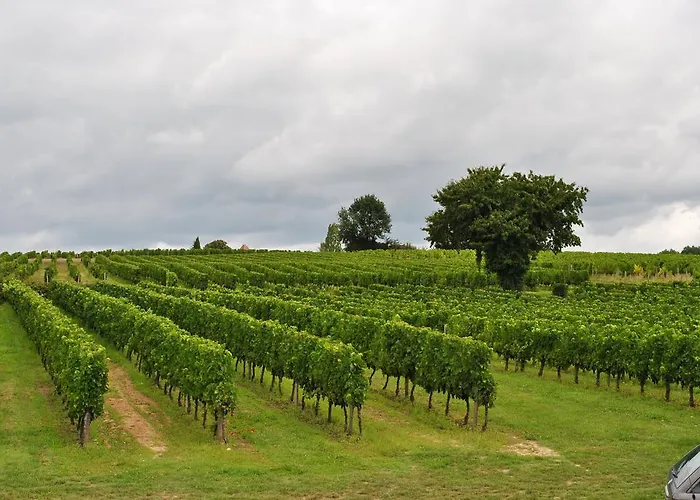 Penzion Les Foucauds 3*