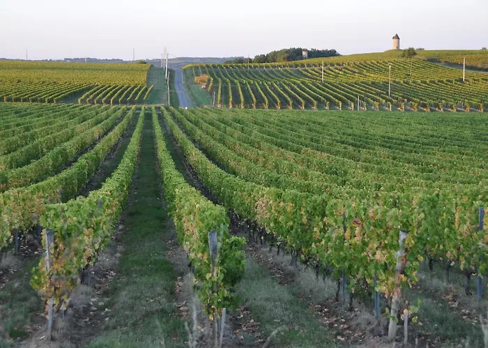 Penzion Les Foucauds Saint-Quentin-de-Caplong